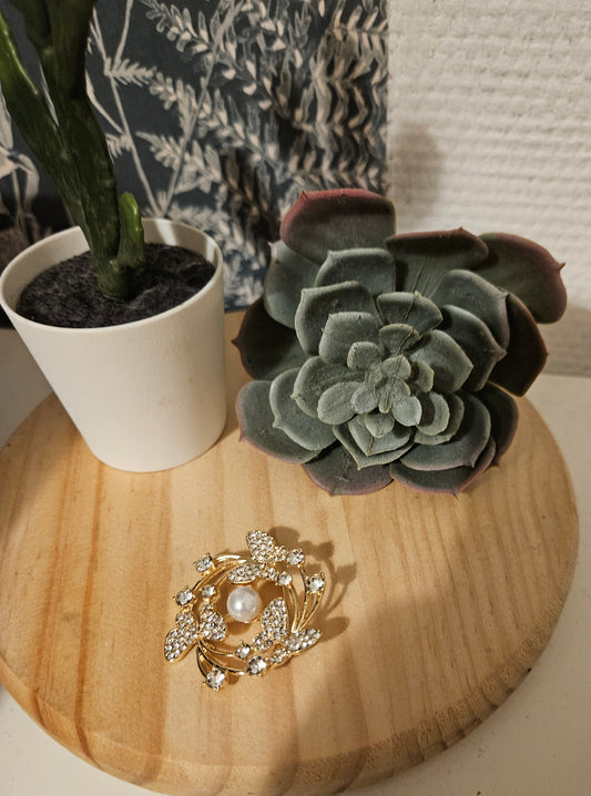 Bijoux broche couronne papillons 🦋