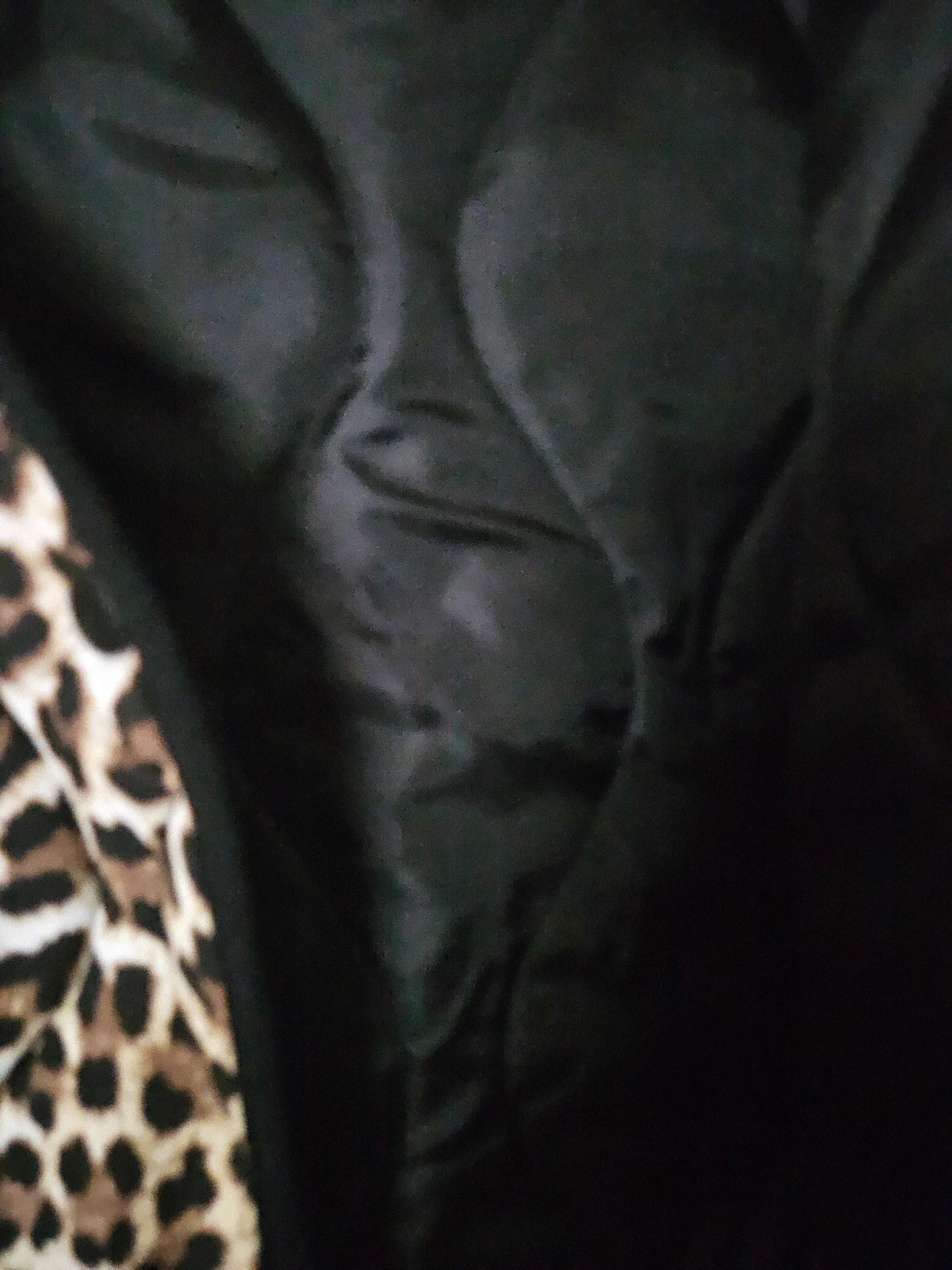 Manteau/veste matelassé léopard